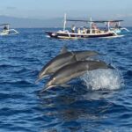 Bali: Lovina Dolphin And Snorkeling With Waterfalls Tours - A Detailed Look at the Tour Experience