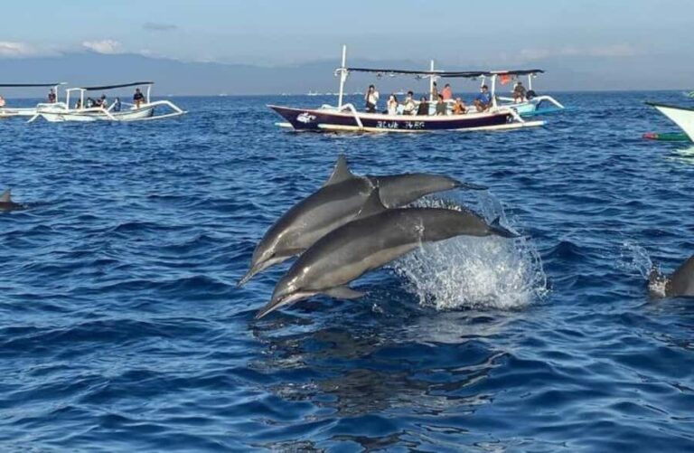 Bali: Lovina Dolphin And Snorkeling With Waterfalls Tours - A Detailed Look at the Tour Experience