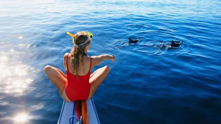 Bali/Lovina: Dolphin Snorkeling, Swimming & Waterfall Tour - Snorkeling Among Vibrant Reefs