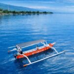 Bali/Lovina: Guided Dolphin Watching & Sunrise Boat Snorkel - What Travelers Are Saying & Practical Insights