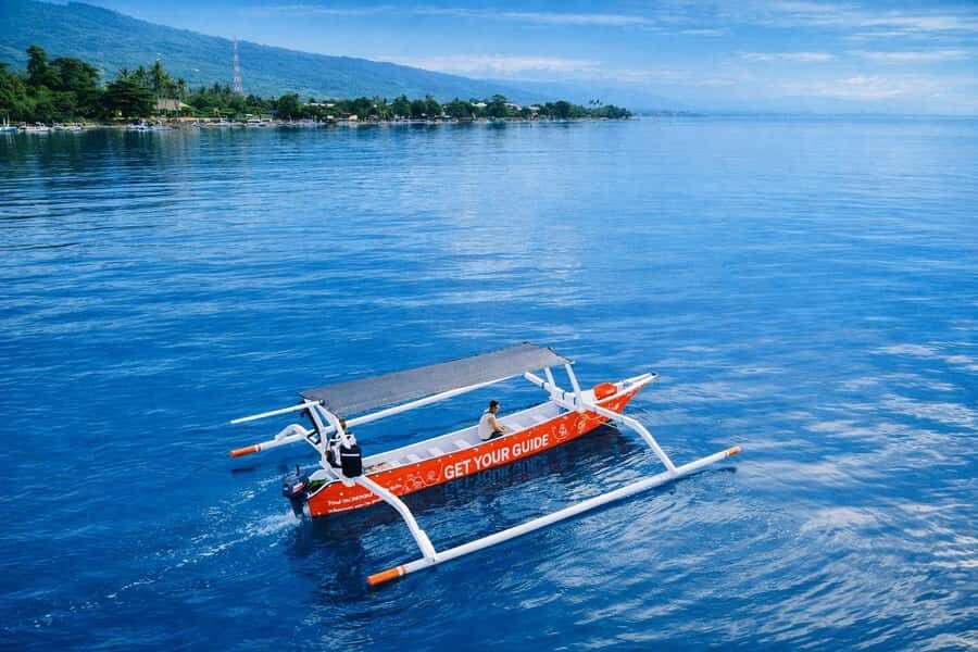 Bali/Lovina: Guided Dolphin Watching & Sunrise Boat Snorkel - What Travelers Are Saying & Practical Insights