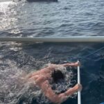 Bali: Lovina Private Meet Dolphins & Snorkeling Coral Reefs - An In-Depth Look at the Tour Experience