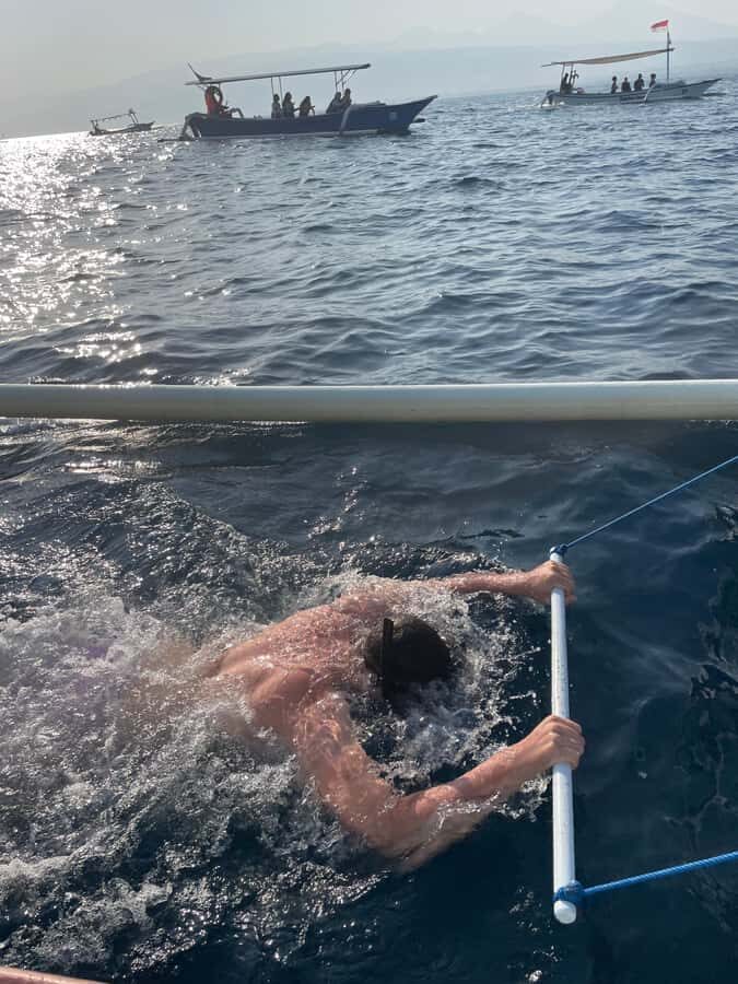 Bali: Lovina Private Meet Dolphins & Snorkeling Coral Reefs - An In-Depth Look at the Tour Experience