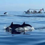 Bali: Lovina Swimming With Dolphine & Snorkeling Tour - Authentic Encounters and Expert Guides
