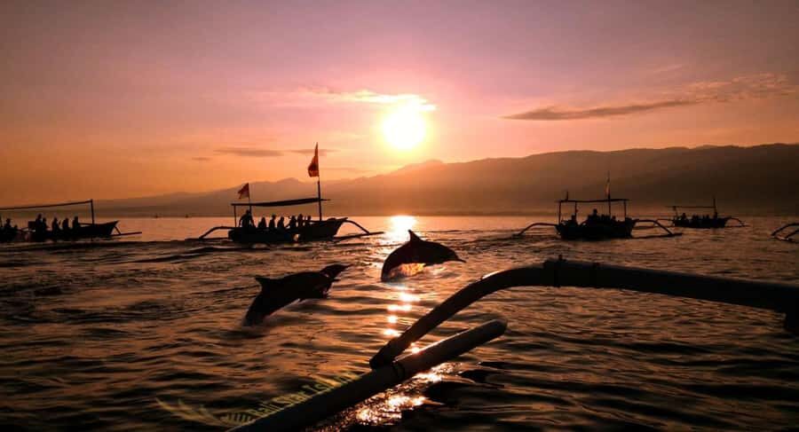 Bali: Lovina Swimming With Dolphine & Snorkeling Tour - Who Should Consider This Tour?