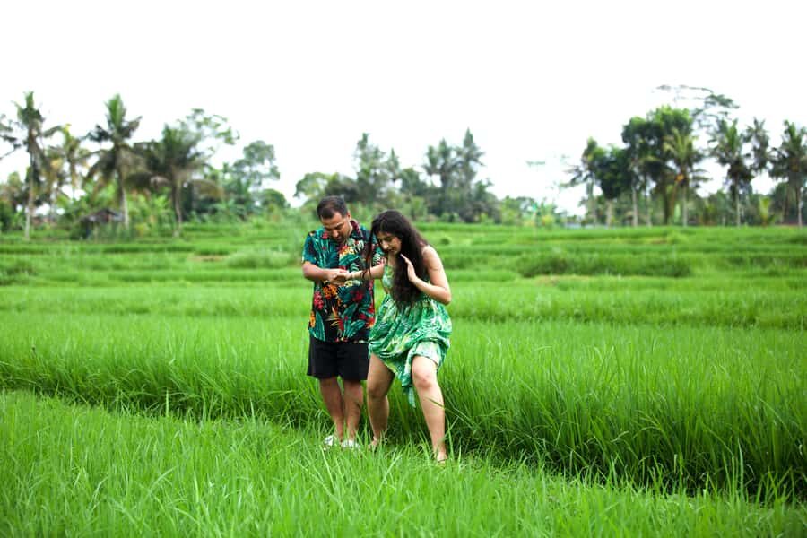 Bali Luxuries Tour Around Ubud - The Practicalities: Transportation, Cost, and Group Dynamics