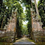 Bali: Monkey Forest, Rice Terrace and Ubud Market Guided Tour - Authentic Insights from Reviews