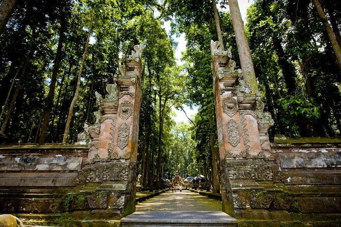 Bali: Monkey Forest, Rice Terrace and Ubud Market Guided Tour - Authentic Insights from Reviews