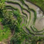 Bali: Monkey Forest, Tegalalang, Uluwatu & Kecak Dance Tour - Detailed Breakdown of the Itinerary