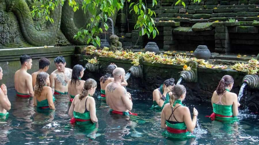 Bali : Morning Bliss in Kintamani - Why This Tour Offers Great Value