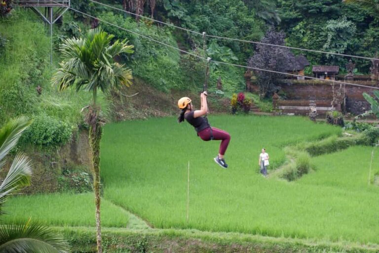 Bali: Mount Batur Jeep Sunrise Tour & Ubud Zipline Adventure - Authentic Review Highlights