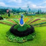 Bali: Natures Bloom, Lake Reflections and Strawberry Bliss - Detailed Breakdown of the Itinerary