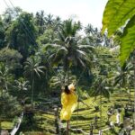 Bali Ngurah Rai Airport 5 Day Private Tour - Exploring the 5-Day Bali Itinerary