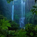 Bali : North Bali Hidden Gems - Costumized Tour - The Practical Side: Transport, Timing, and Pricing