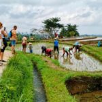 Bali: North Bali Tour With Yeh Hoo Waterfall - Transportation & Group Experience