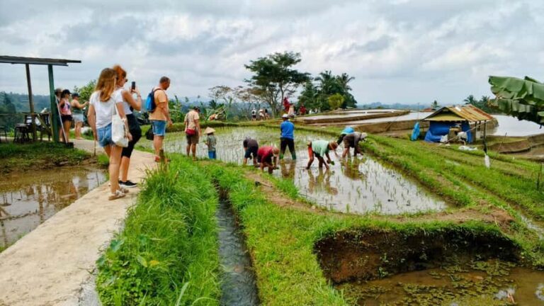 Bali: North Bali Tour With Yeh Hoo Waterfall - Transportation & Group Experience