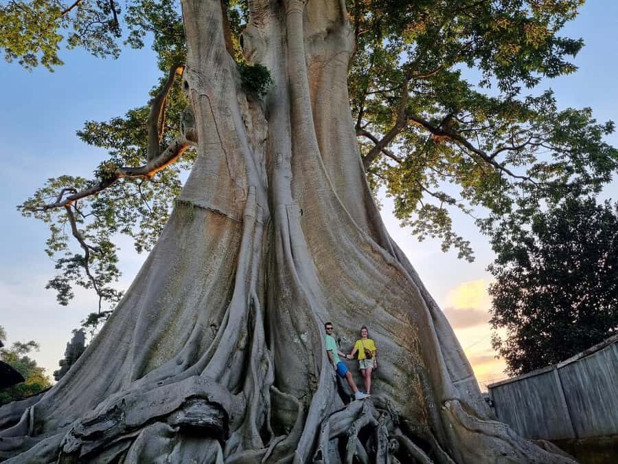 Bali: Nung-Nung Waterfall & Rice Terraces Tour - Discover the Natural and Cultural Wonders of Bali