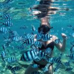 Bali/Nusa Dua: Snorkeling, Glass Boat Ride & Turtle Center - What the Reviews Say