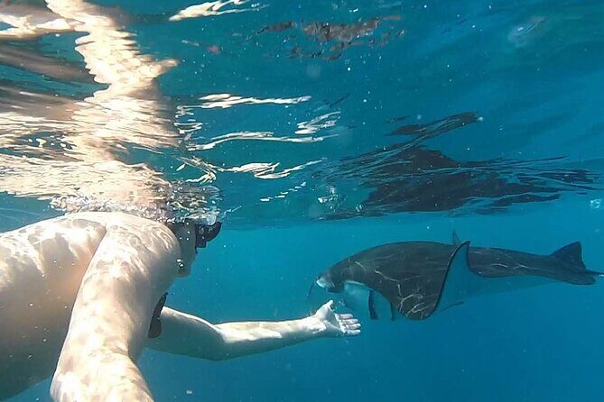 Bali Nusa Penida Snorkeling Tour West - What Travelers Say: Authentic Insights