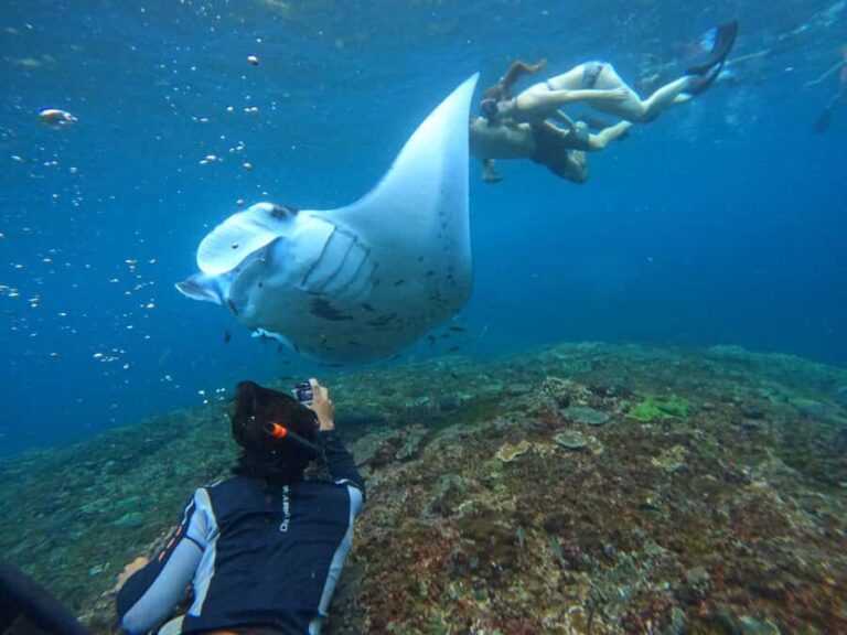 Bali: Nusa Penida Tour with Lunch & Manta Point Snorkeling - An In-Depth Look at the Nusa Penida Experience