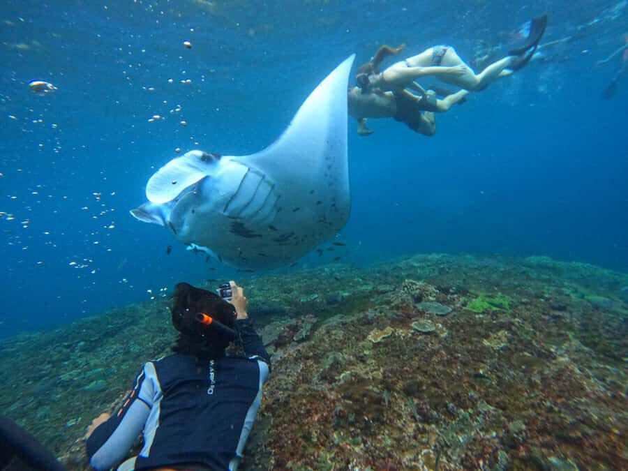 Bali: Nusa Penida Tour with Lunch & Manta Point Snorkeling - An In-Depth Look at the Nusa Penida Experience