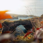 Bali: One Day Trip Nusa Penida with All Inclusive - What the Reviews Reveal