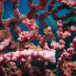 BALI: PADANG BAI DIVE TRIP WITH HOTEL TRANSFERS & LUNCH - The Hidden Gems: Authenticity & Value