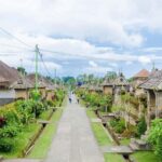 Bali: Penglipuran Village, Tirta Empul & Ubud All Incusive - What Guides Bring to the Experience
