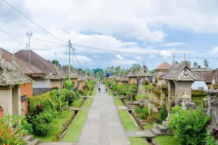 Bali: Penglipuran Village, Tirta Empul & Ubud All Incusive - What Guides Bring to the Experience