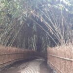 Bali: Penglipuran Village, Waterfall, and Night Market Tour - Practical Details