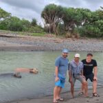 Bali: Pink Buffalo Adventure with Culinary Experience - An Authentic and Engaging Bali Experience