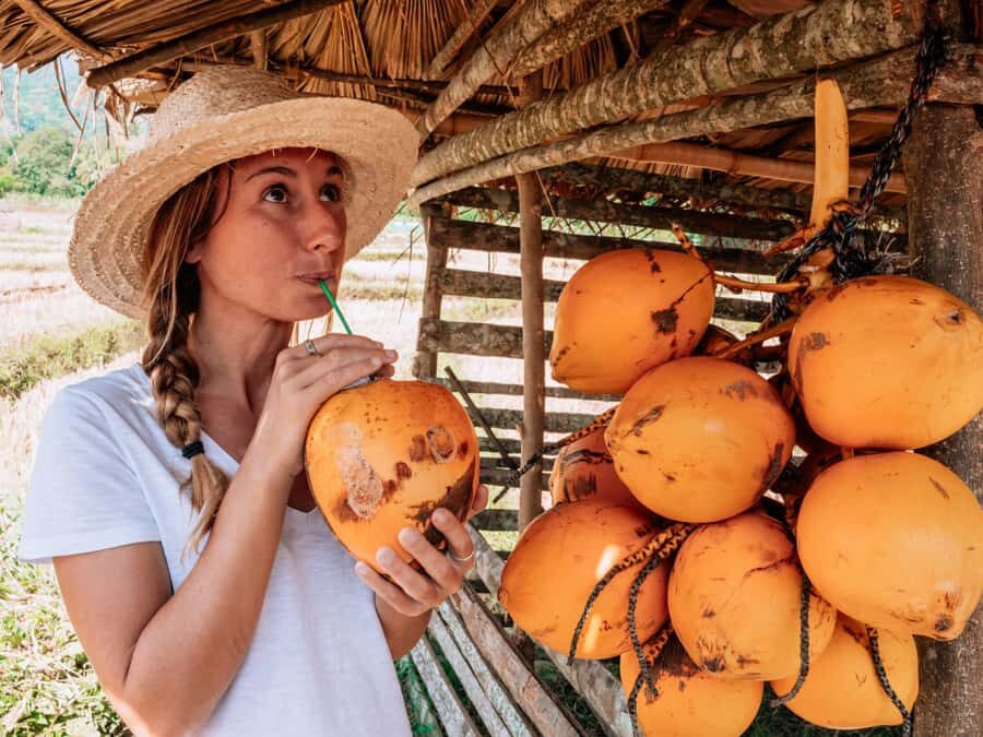 Bali: Private Balinese Home, Temple, and Waterfall Tour - The Tirta Empul Water Ritual