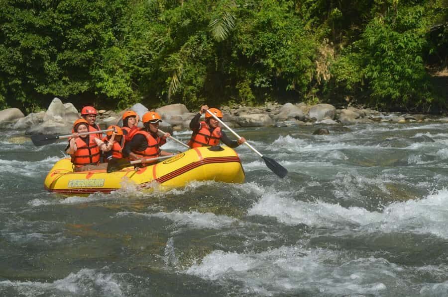 Bali: Private Boat White Water Rafting & Lunch - Who Should Book This Tour?  