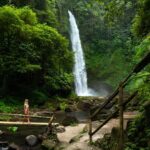 Bali: Private Jungle Swing, Waterfall & Rice Paddy Tour - Analyzing the Value