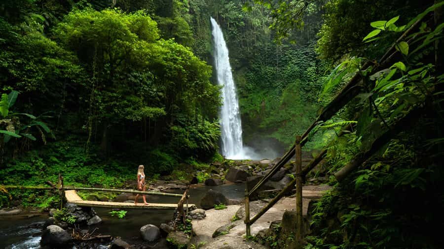 Bali: Private Jungle Swing, Waterfall & Rice Paddy Tour - Analyzing the Value