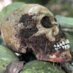 Bali Private Mystic Death Tour In Trunyan - Who Would Love This Experience?