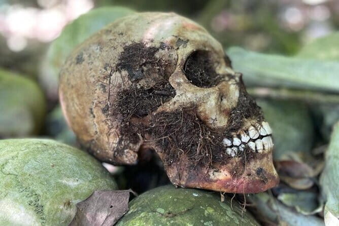 Bali Private Mystic Death Tour In Trunyan - Who Would Love This Experience?