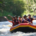 Bali Private Rafting - Analyzing the Value