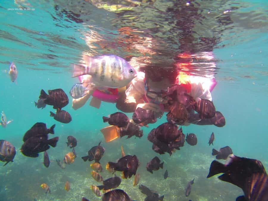 Bali: Private Snorkeling Trip to Blue Lagoon & Tanjung Jepun - Detailed Breakdown of the Snorkeling Itinerary