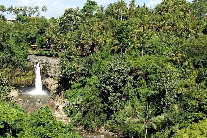 Bali Private Tour: Waterfall, Monkey forest and Tanah lot sunset - What’s Included and What to Consider