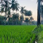 Bali: Quad Bike Adventure with Buffet Lunch - Who Will Love This Experience