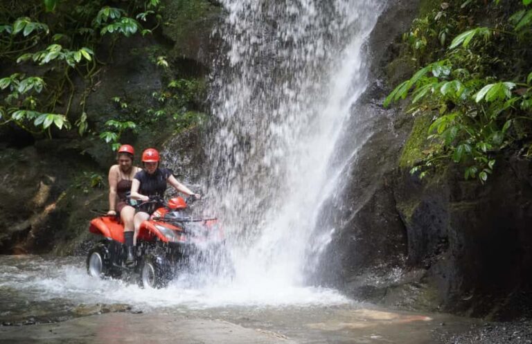 Bali: Quad Bike Adventure with Buffet Lunch - Who Should Consider This Tour?