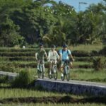Bali: Rice Field and Village Cycling Tour with Guide - What to Expect During the Tour