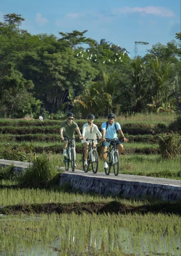 Bali: Rice Field and Village Cycling Tour with Guide - What to Expect During the Tour