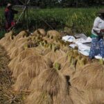 Bali: Rice Field Trip and Balinese Women Culture - A Deep Dive into the Tour Experience