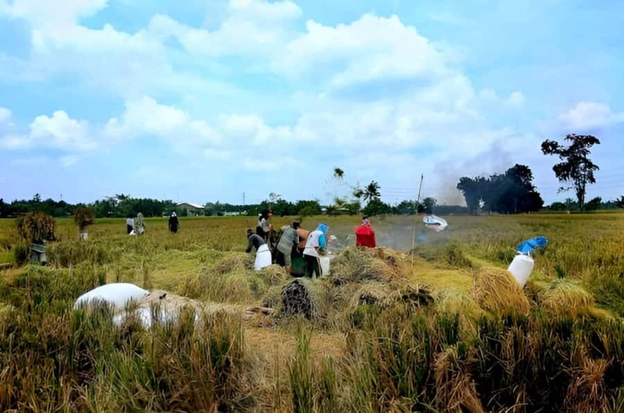 Bali: Rice Terrace Trekking & Jungle River Tubing Adventure - Final Thoughts