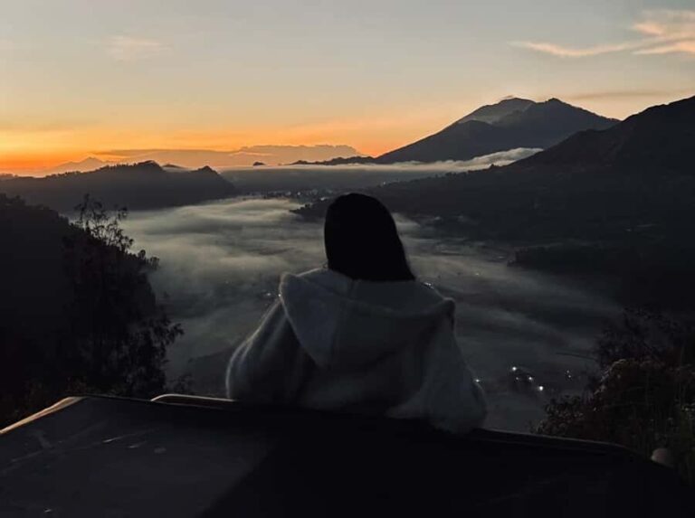 Bali: Rice Terrace & Volcano Tour with Penglipuran Village - Who Will Love This Tour?  