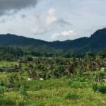 Bali Rice Terraces & Cultural Temples Tour - Exploring the Scenic Rice Terraces