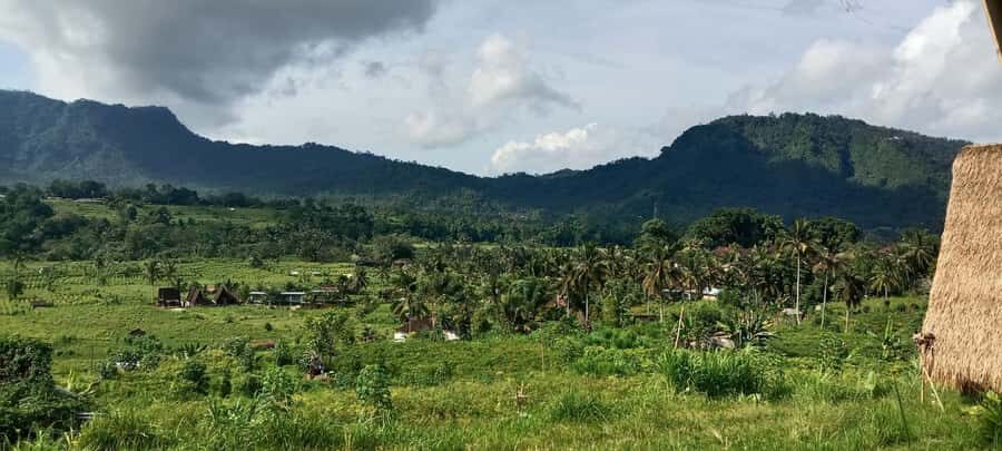 Bali Rice Terraces & Cultural Temples Tour - Exploring the Scenic Rice Terraces