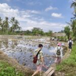 Bali: Rural Trekking and River Adventure Tour - Trekking Through Rice Terraces and Caves